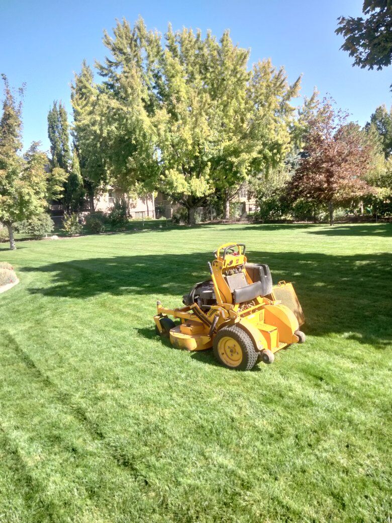 commercial wright stander 36"