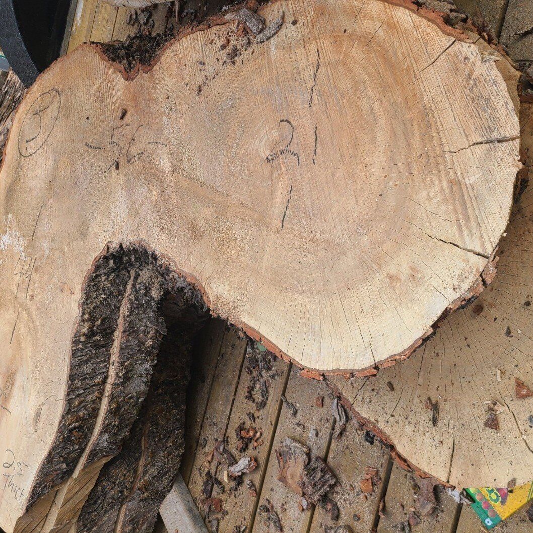 Live Edge Silver Maple "L" Slabs,  $10 BOARD Ft