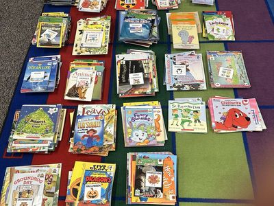 Massive Children's Classroom Book Bundle Scholastic I Can Read Early Readers Lot
