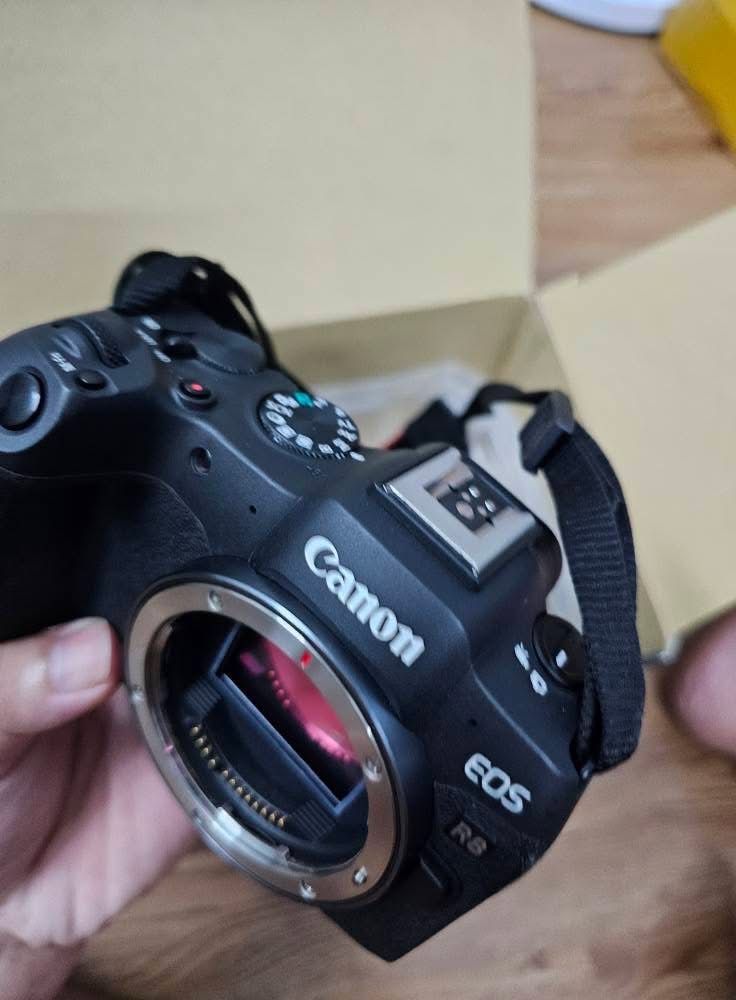 Canon R8, adapter + 24-105 mm f3.5-5.6 stm