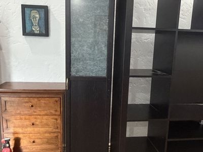 Black Tall Narrow Cabinet with Glass Door and Shelves