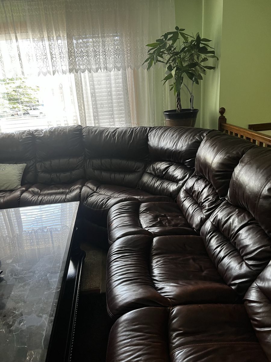 Main image 5