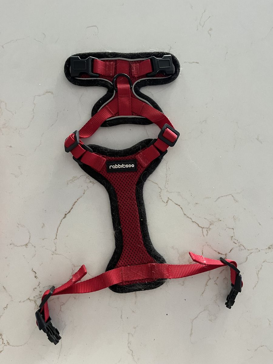 Cat or small dog harnesses, leases and life jacket