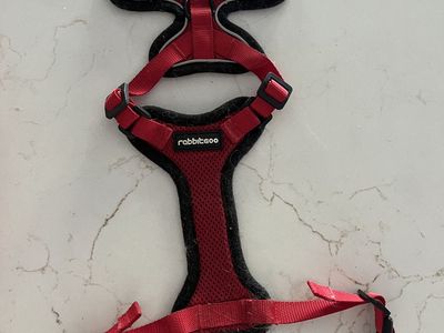 Cat or small dog harnesses, leases and life jacket
