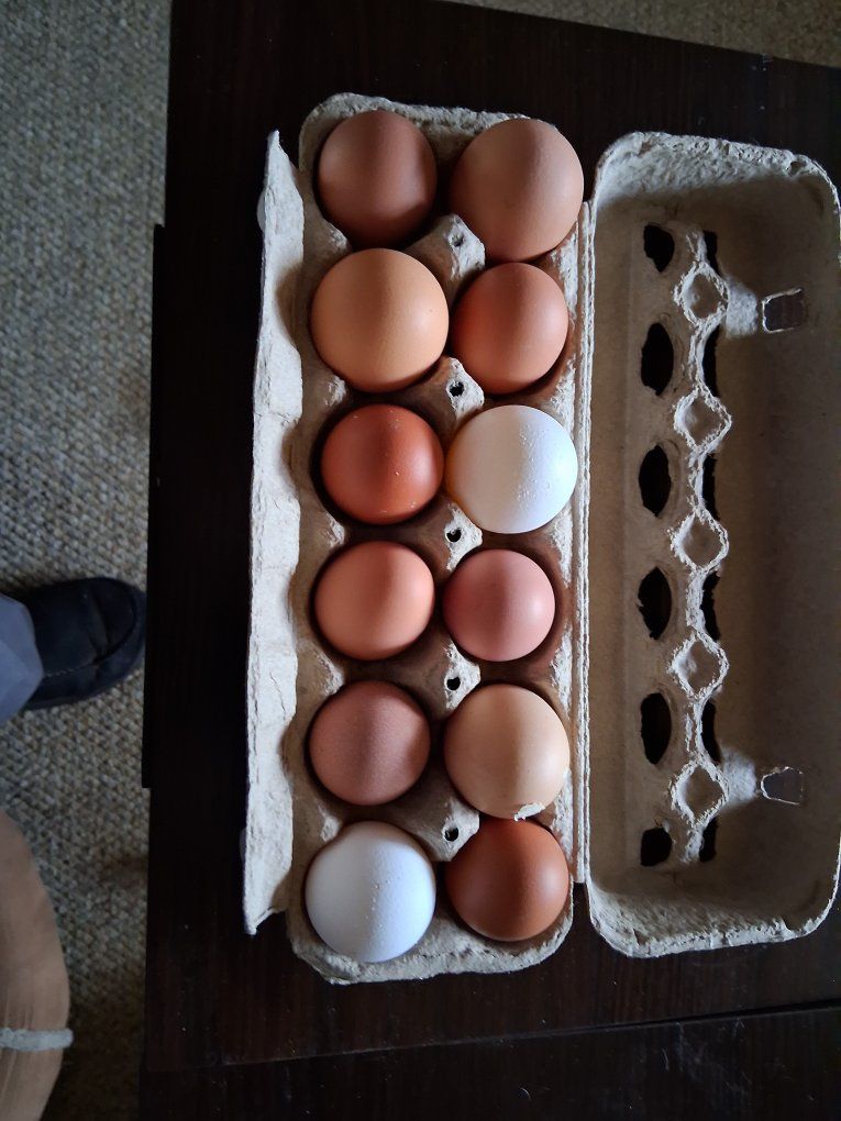 Farm Fresh Eggs
