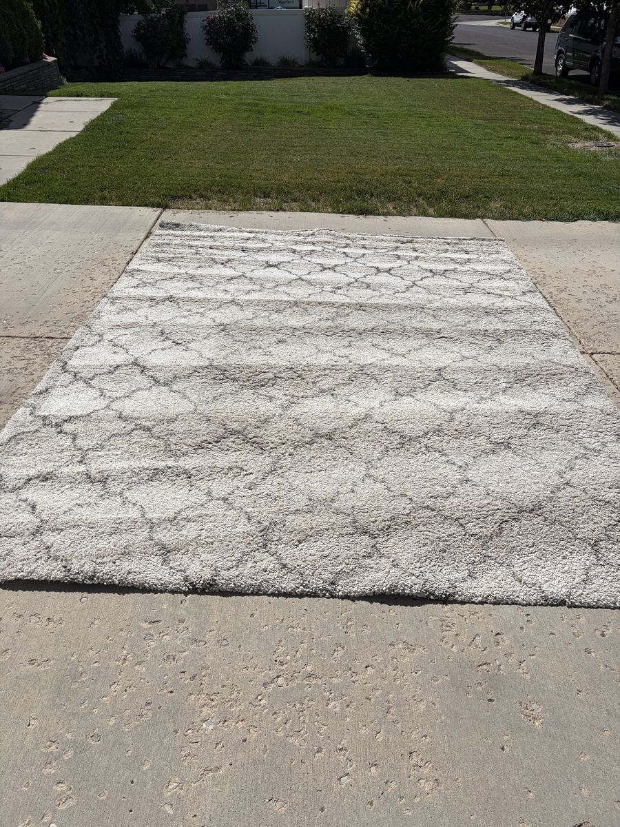 Safavieh Hudson Shag Area Rug – Ivory/Grey Trellis – 9’ x 12’ (110” x 144”)