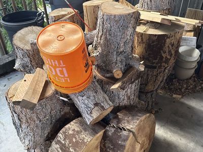 Fire Wood
