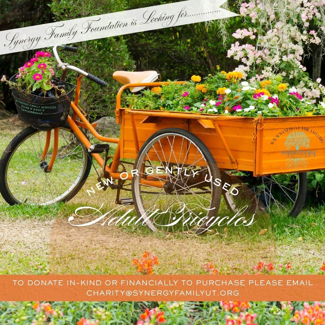 Synergy Family Foundation in Need of Adult Tricycles (New or Gently Used)