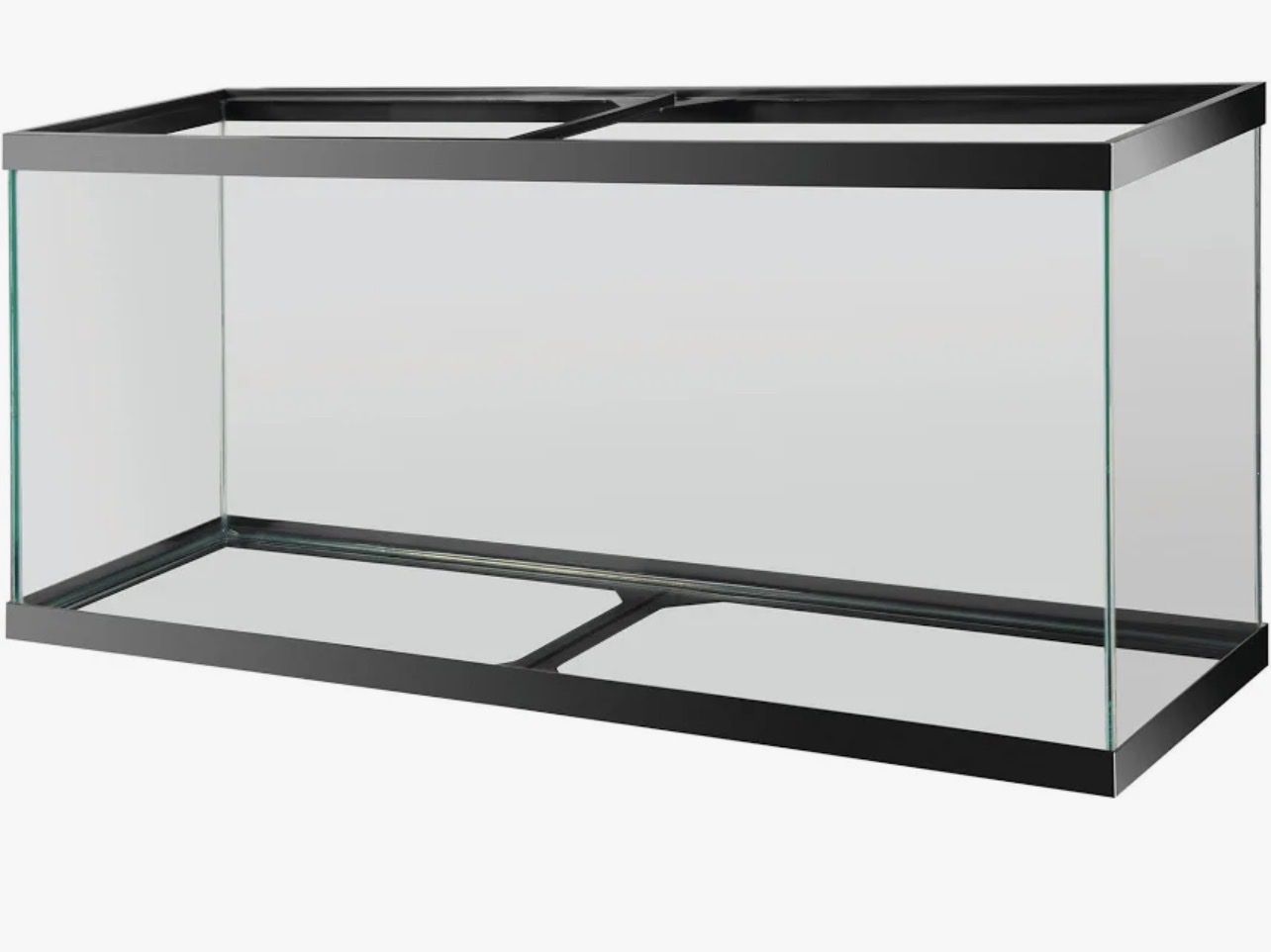 55 gallon tank