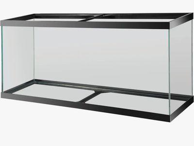 55 gallon tank