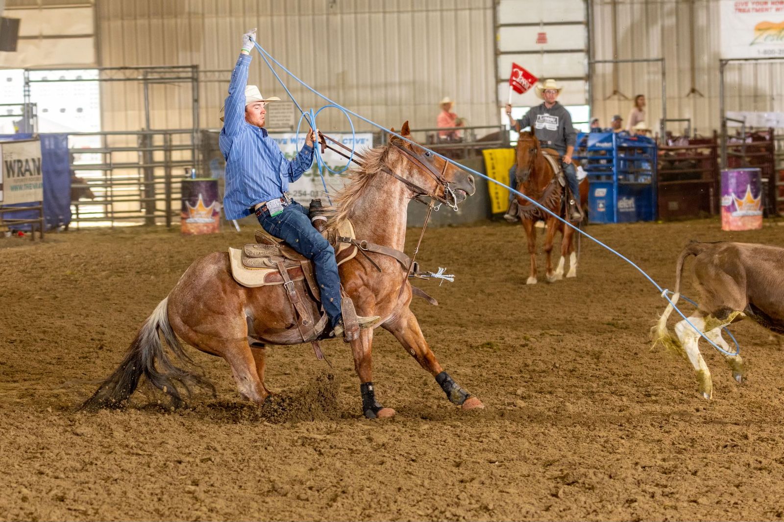 Heel/Breakaway Rope Horse
