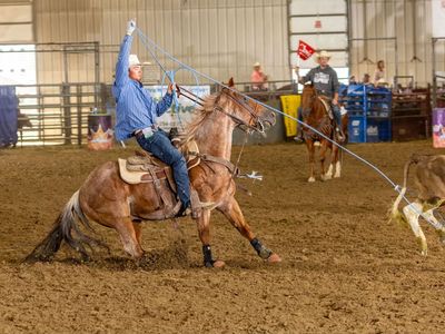 Heel/Breakaway Rope Horse