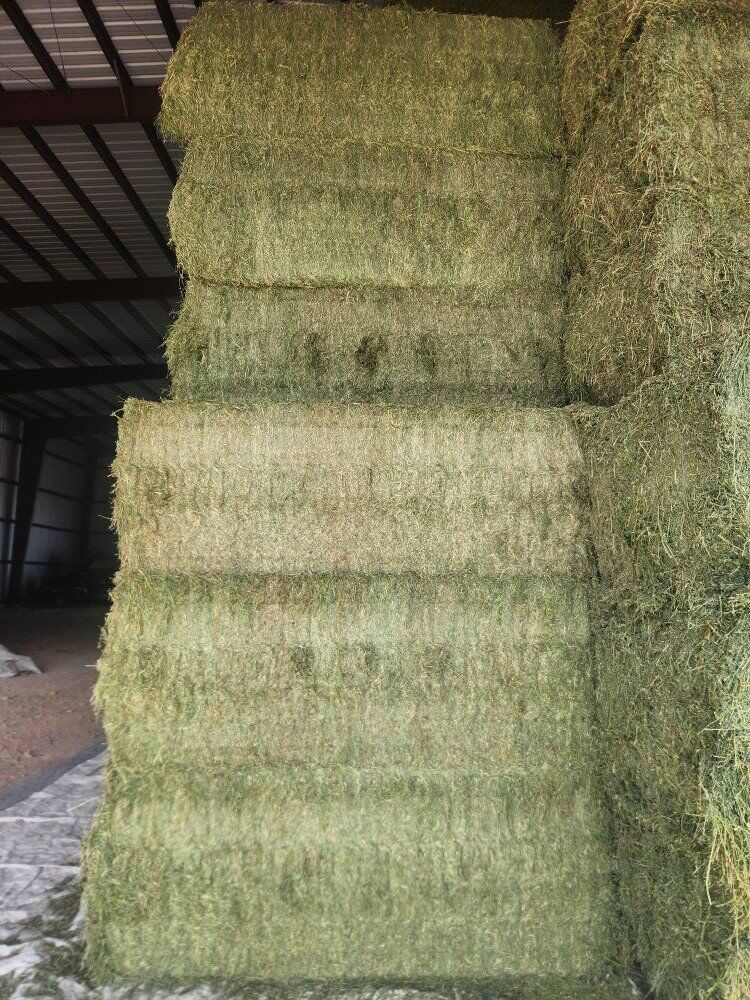 Alfalfa Grass mix 3x4x8 bales 1450lbs Free Deliver
