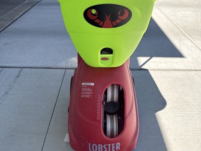 Pickleball lobster