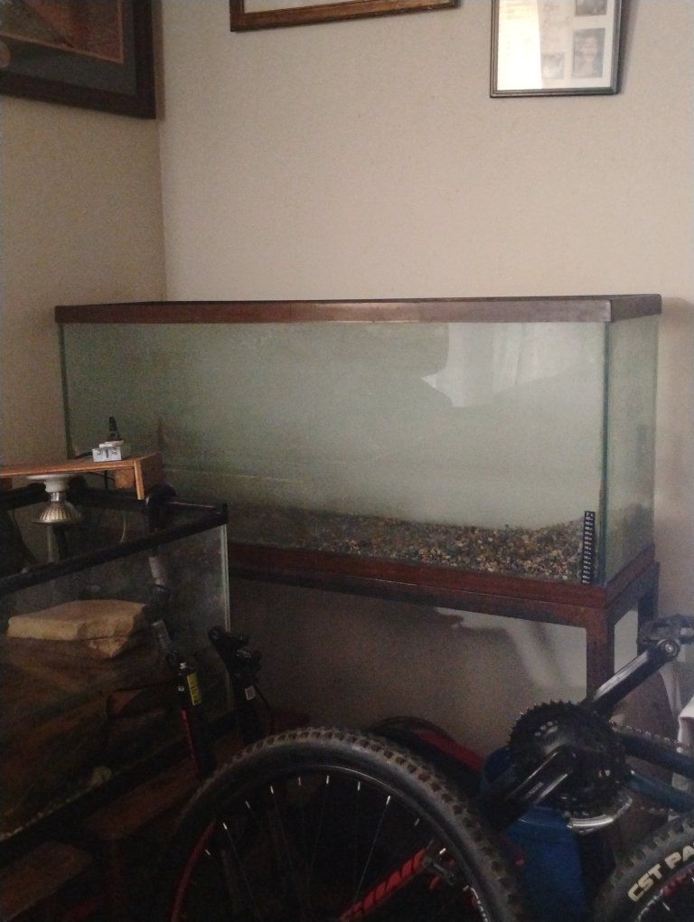 Used Large Aquarium Fish Tank - Glass, 90 gallon and 40 to 60gallon with Accessories