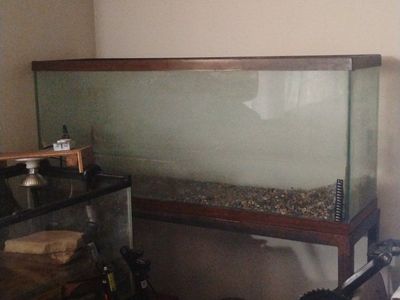 Used Large Aquarium Fish Tank - Glass, 90 gallon and 40 to 60gallon with Accessories