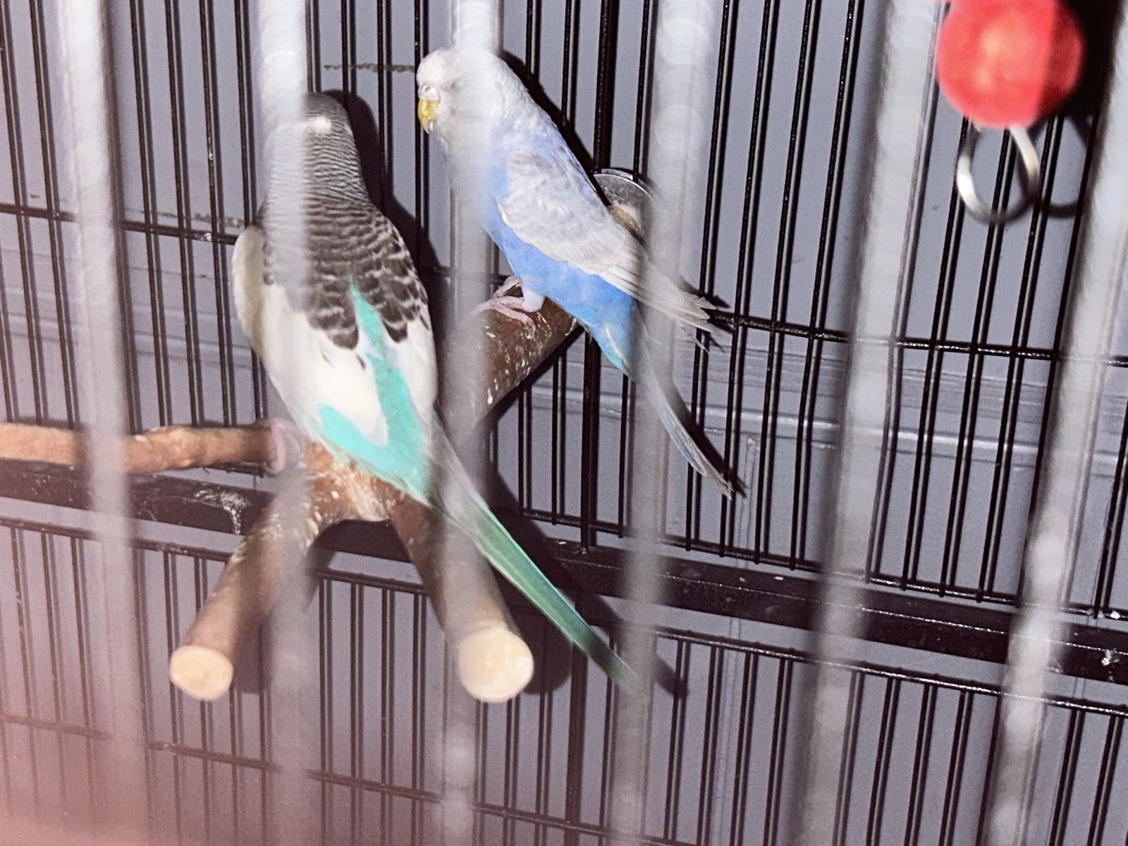 Main image 5