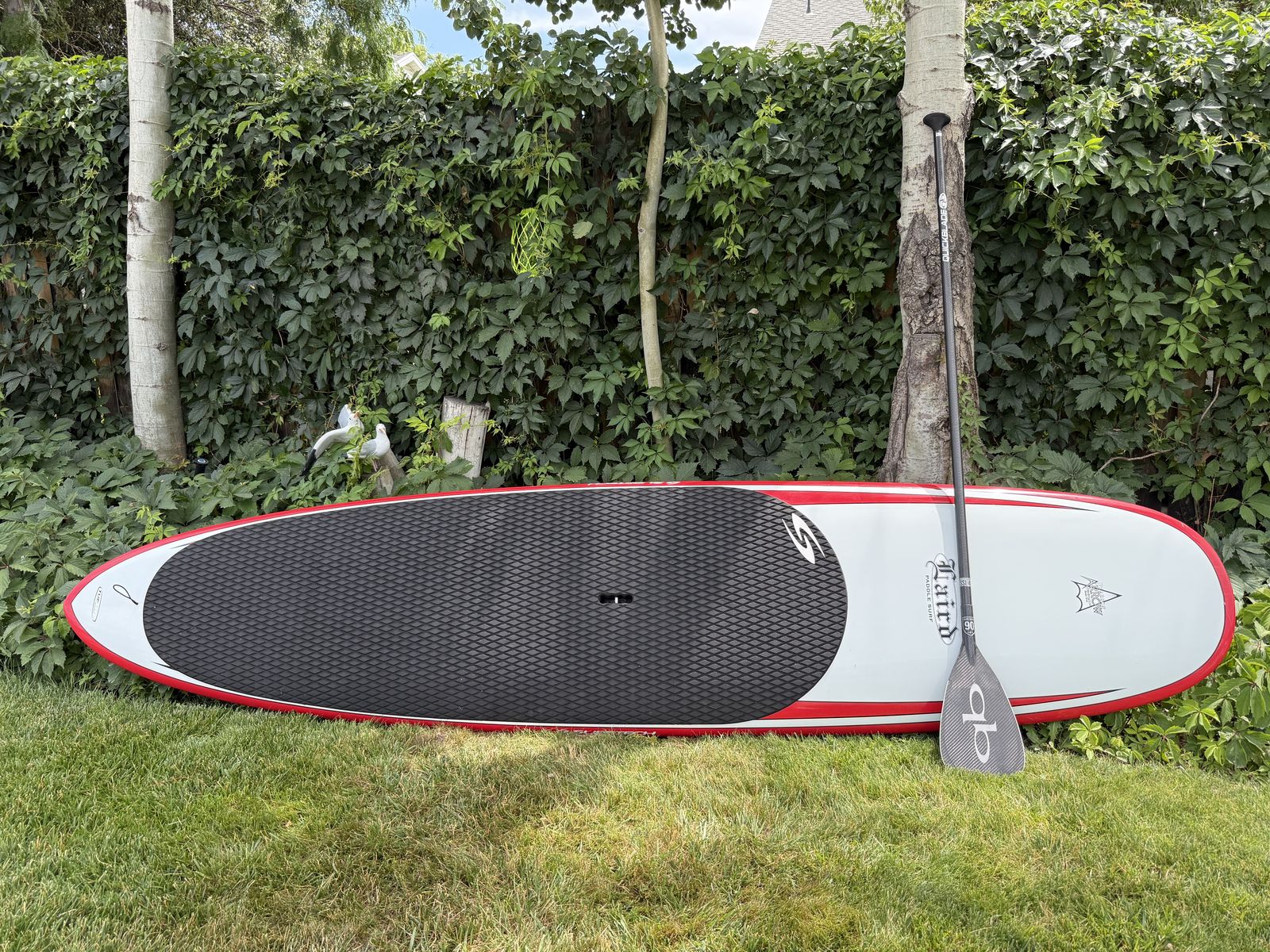 Premium Surftech Laird 11' Paddleboard + Quickblade Elite Race Carbon Paddle