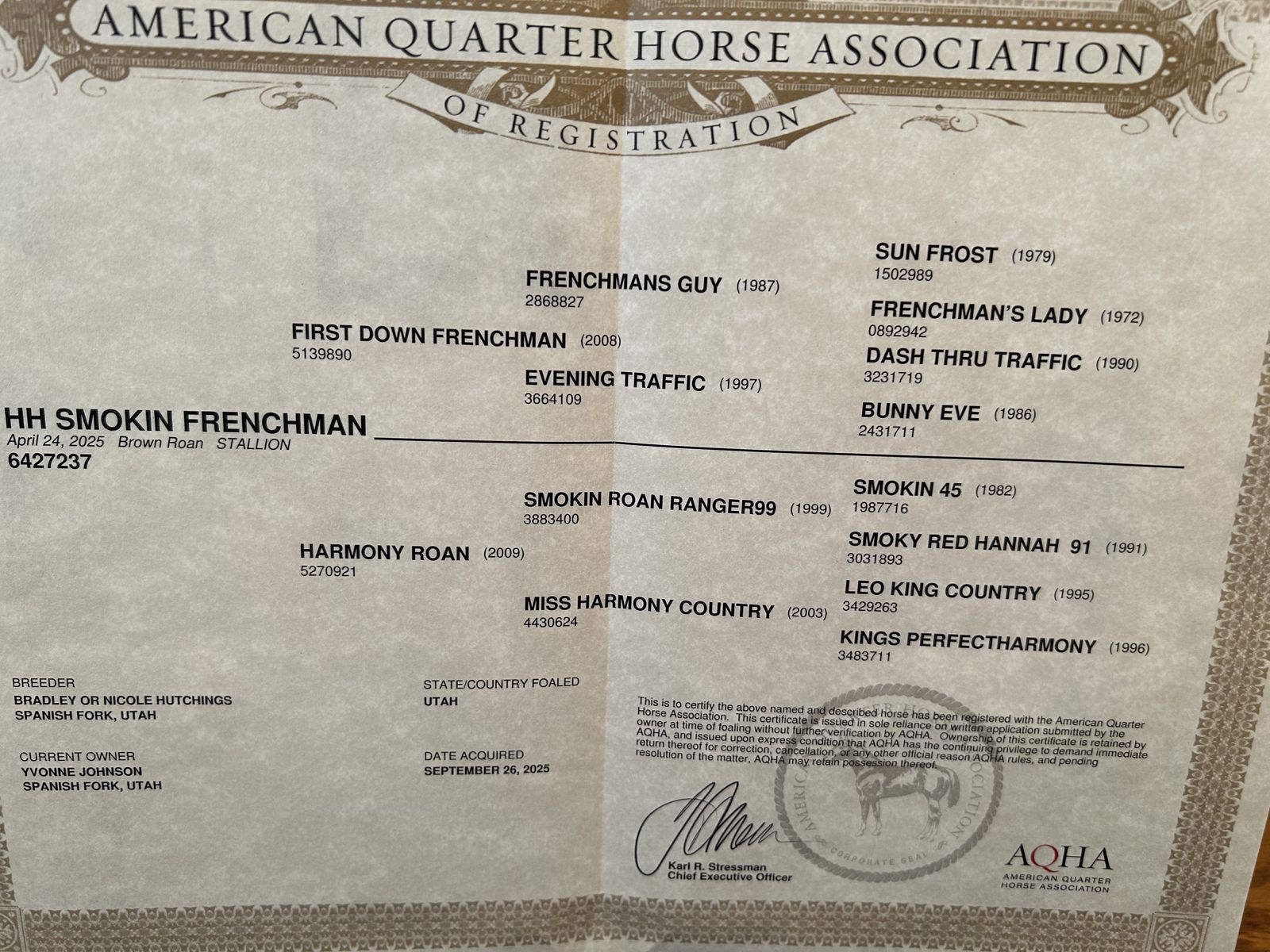 Reg Quarter Horse