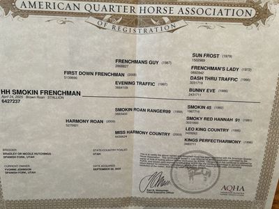 Reg Quarter Horse
