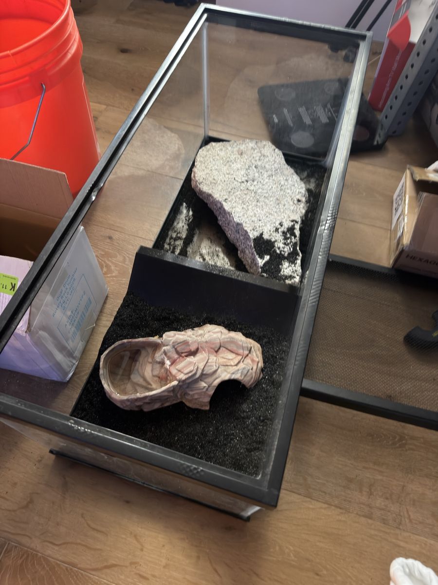 leapored gecko and 30gal terrarium