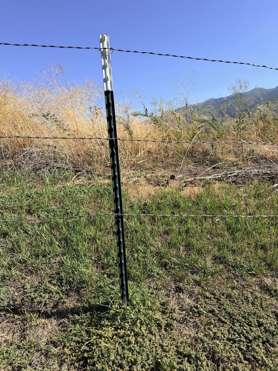 Metal T-Posts 