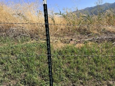 Metal T-Posts
