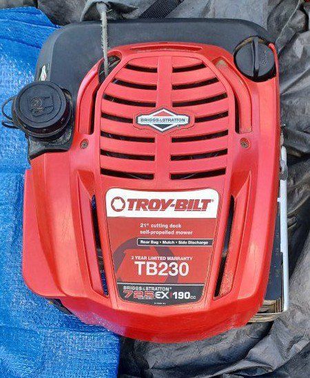 Lawnmower Engine. Just an Engine