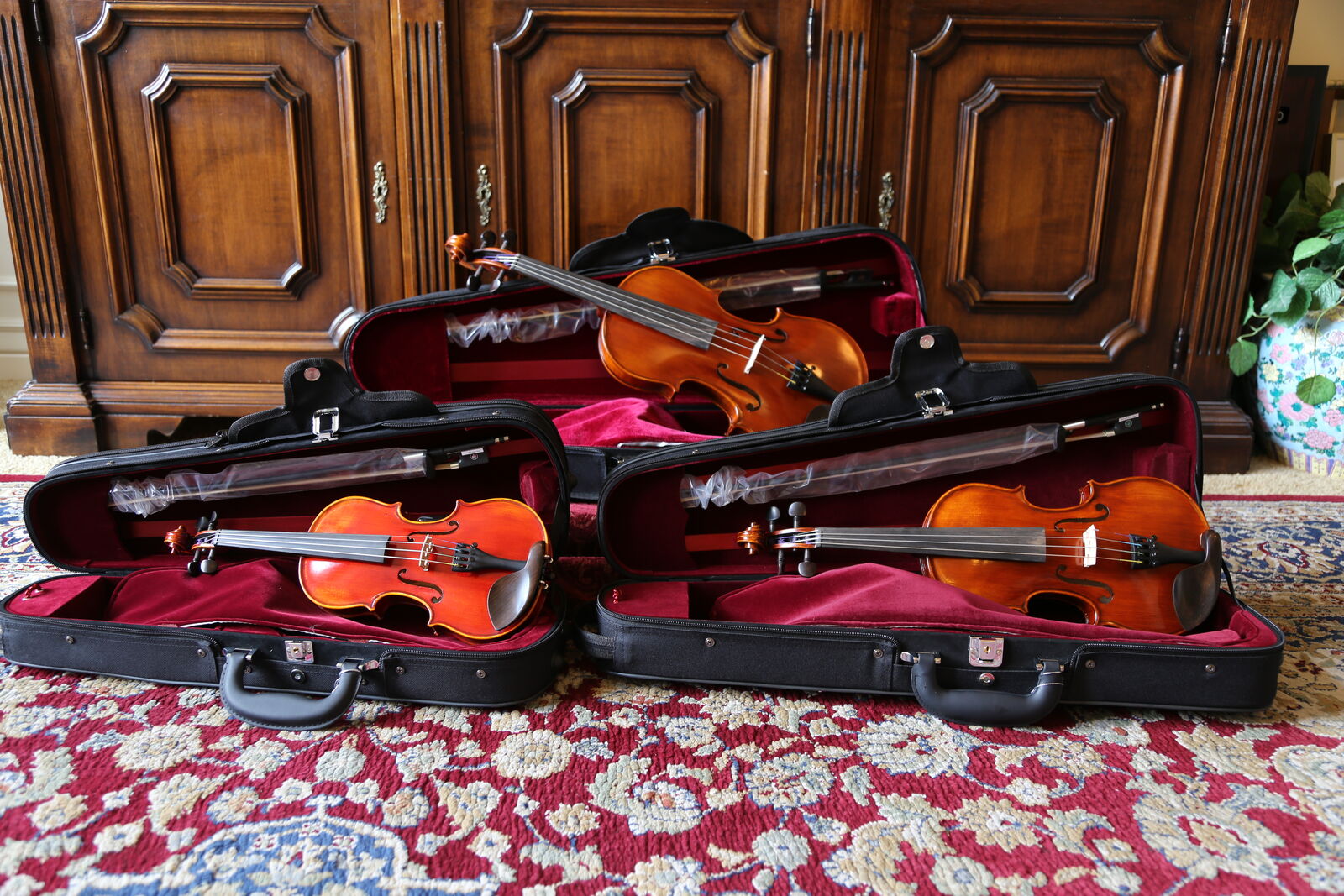 Century Strings Angel Taylor 110 Violin Outfits