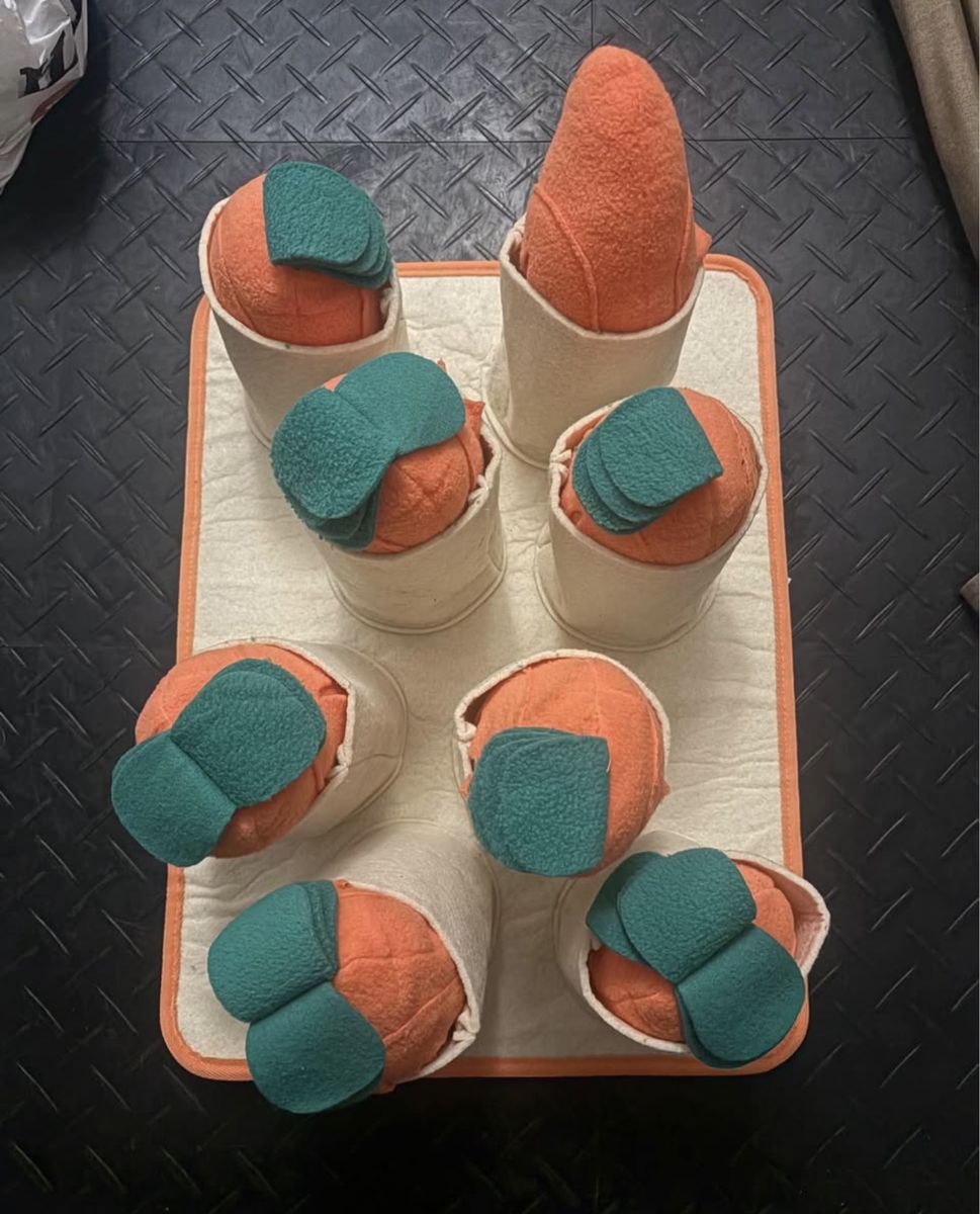 Dog Sniffing Training Toy Snuffle Mat with 8 Plush Carrots
