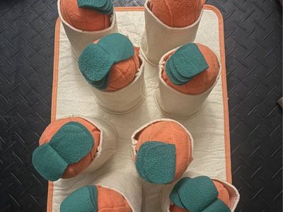 Dog Sniffing Training Toy Snuffle Mat with 8 Plush Carrots
