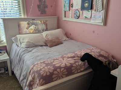 Full Bedframe -Light Headboard -Trundle Unicorn