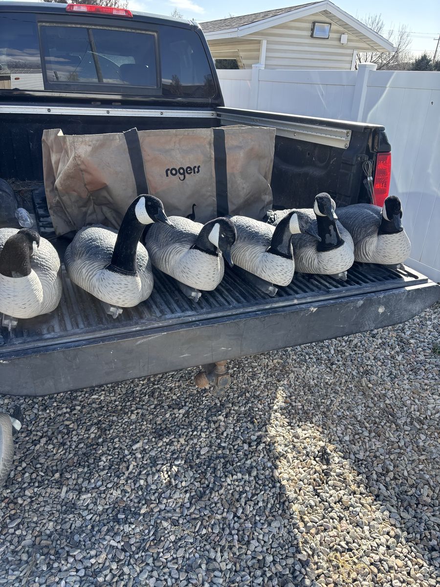 Goose floaters