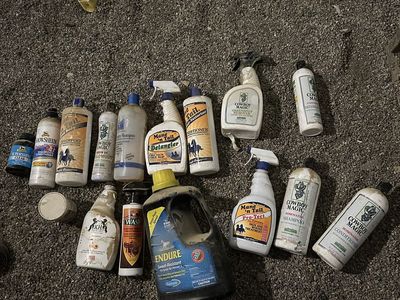 Free horse care products