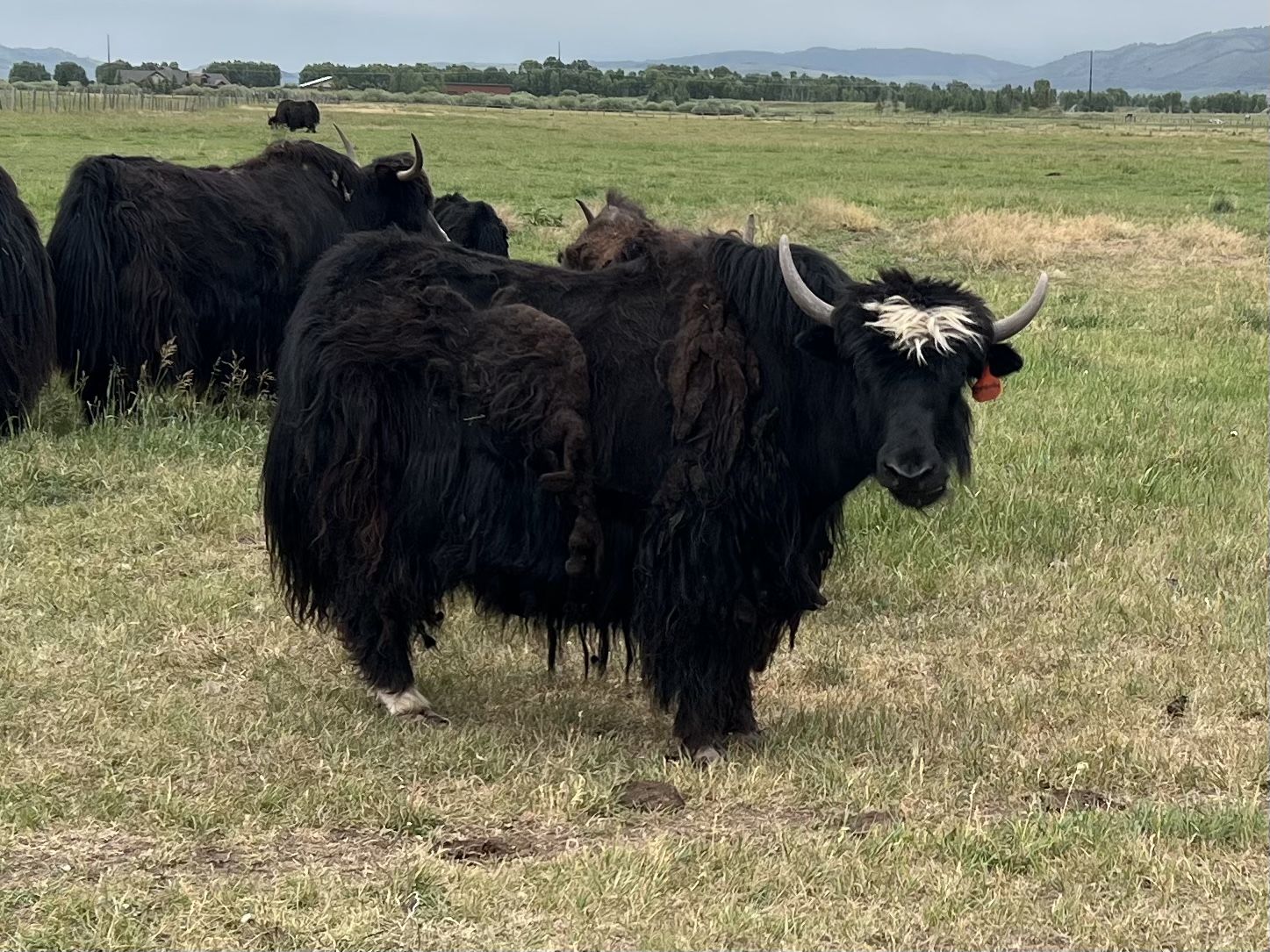 Main image 4