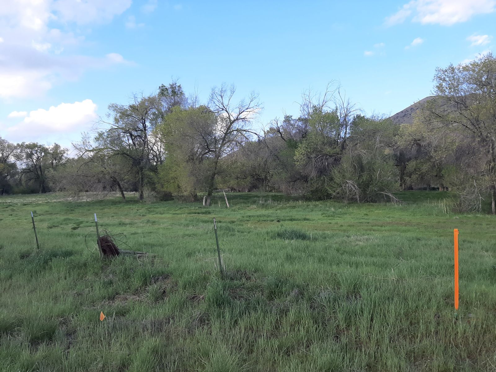 Main image 6