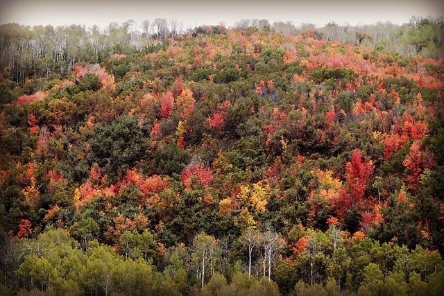 East Canyon Resort Class A