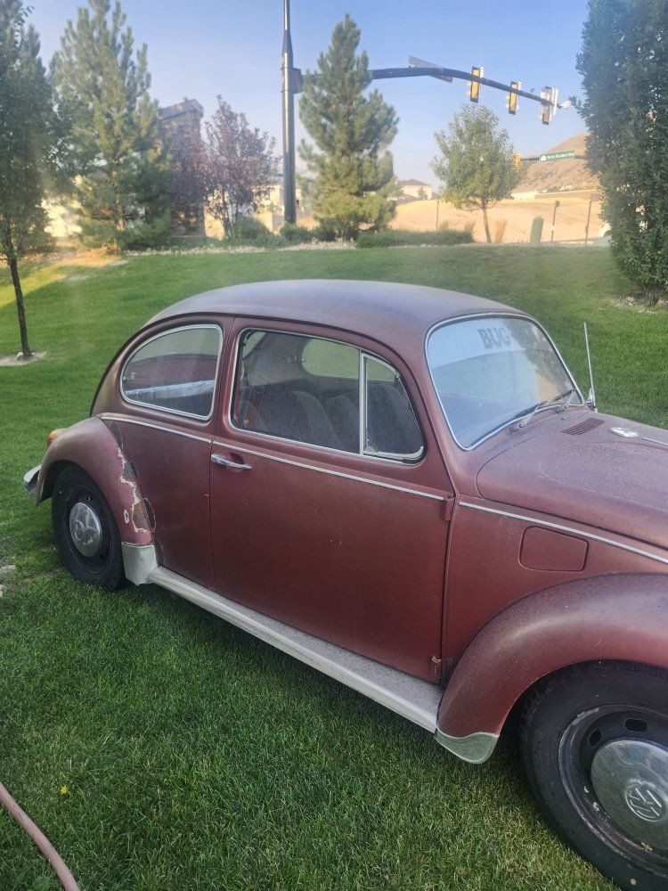 1970 Volkswagen Beetle 