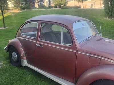1970 Volkswagen Beetle