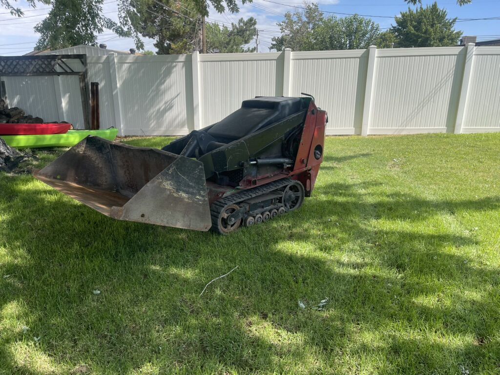 Mini Skeed Steer For Rent