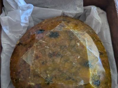 806ct Opaque Yellow Pear shaped Sapphire