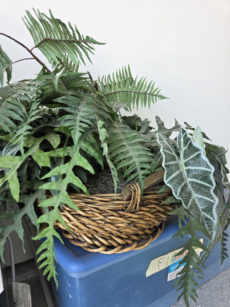 Large Artificial Tropical Fern Plant in Woven Basket Pot
