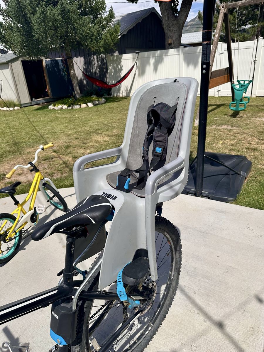 Thule RideAlong Rear Child Bike Seat - Gray/Black,