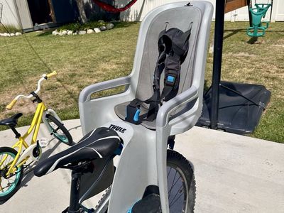 Thule RideAlong Rear Child Bike Seat - Gray/Black,