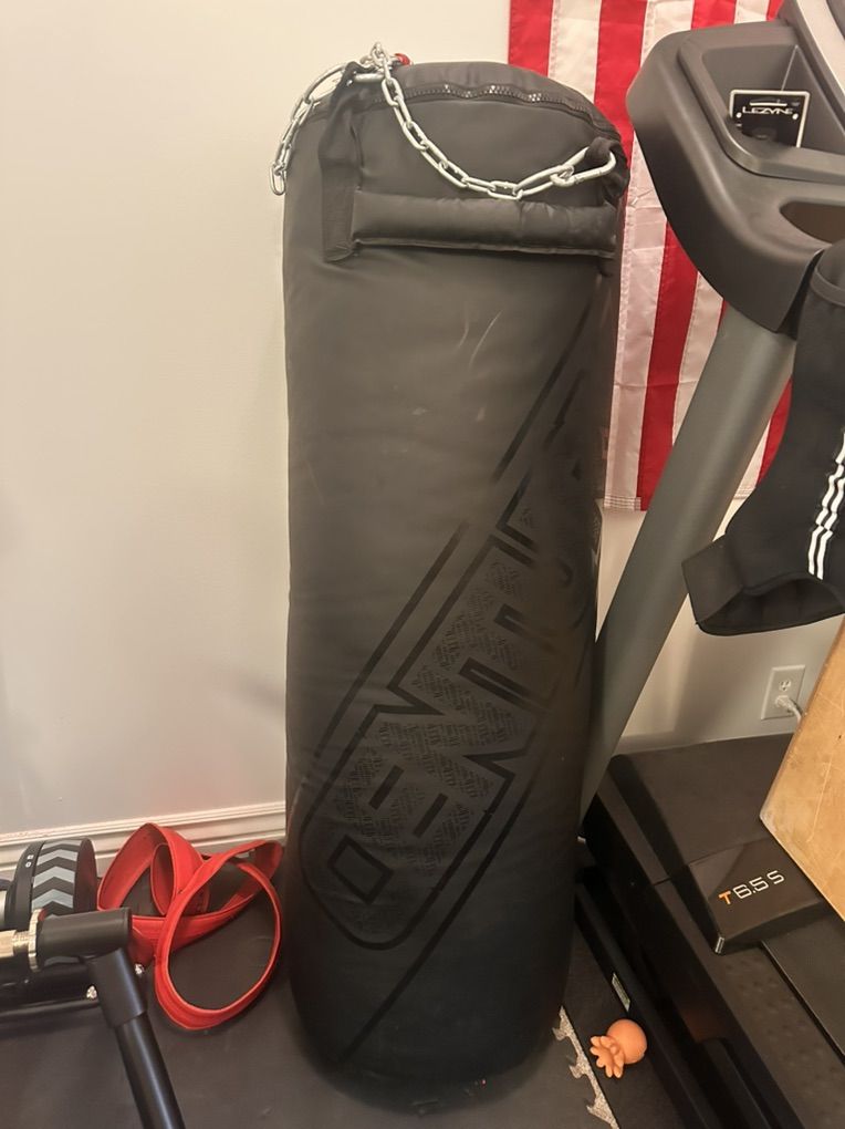 Century Heavy Punching Bag