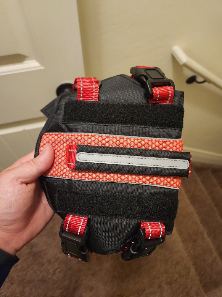 Dog harness.