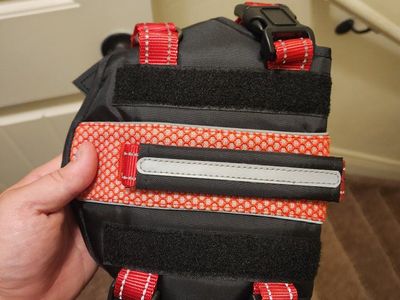 Dog harness.
