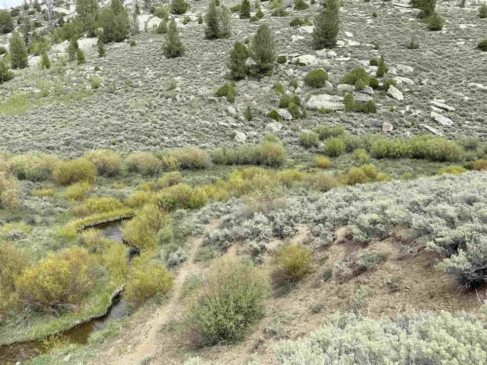 Main image 15