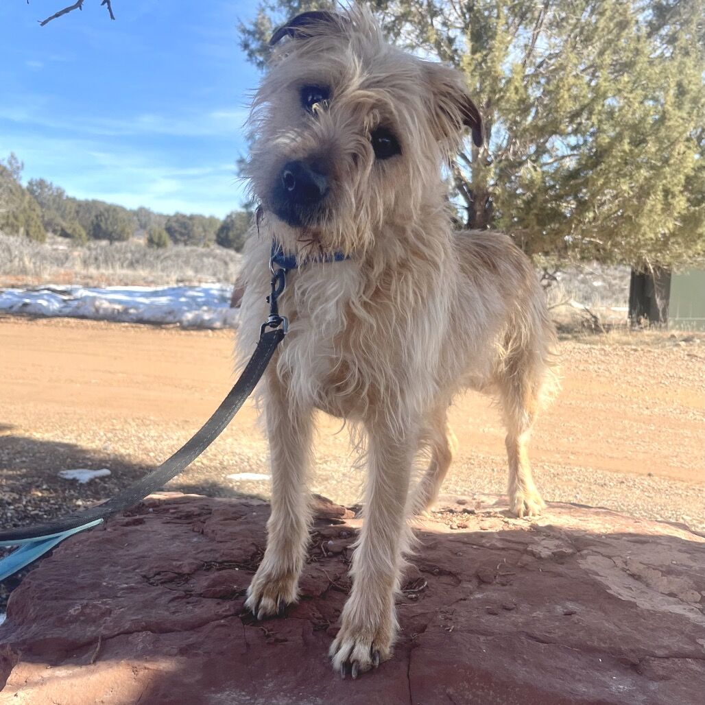 Hello my name is Ron Swanson