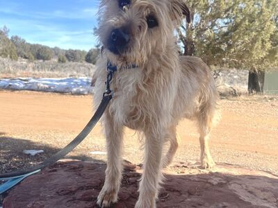 Hello my name is Ron Swanson